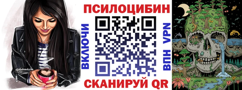 площадка как зайти  Нарткала  Галлюциногенные грибы GOLDEN TEACHER 