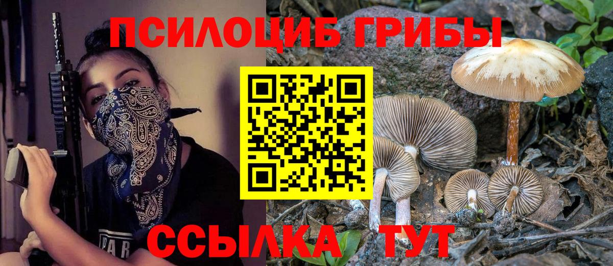 Псилоцибиновые грибы MAGIC MUSHROOMS  Вход с VPN  Нарткала  Галлюциногенные грибы Cubensis 
