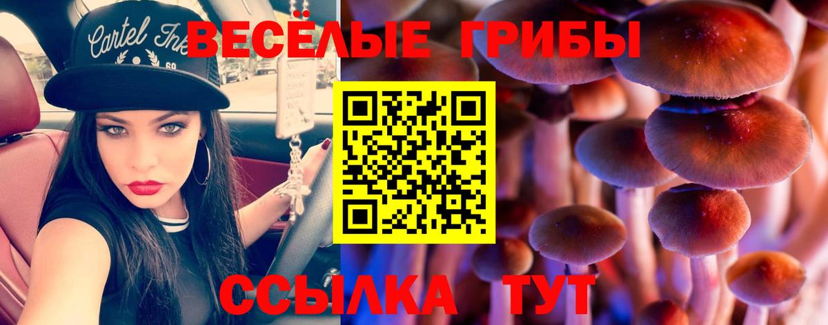 Галлюциногенные грибы Magic Shrooms Нарткала
